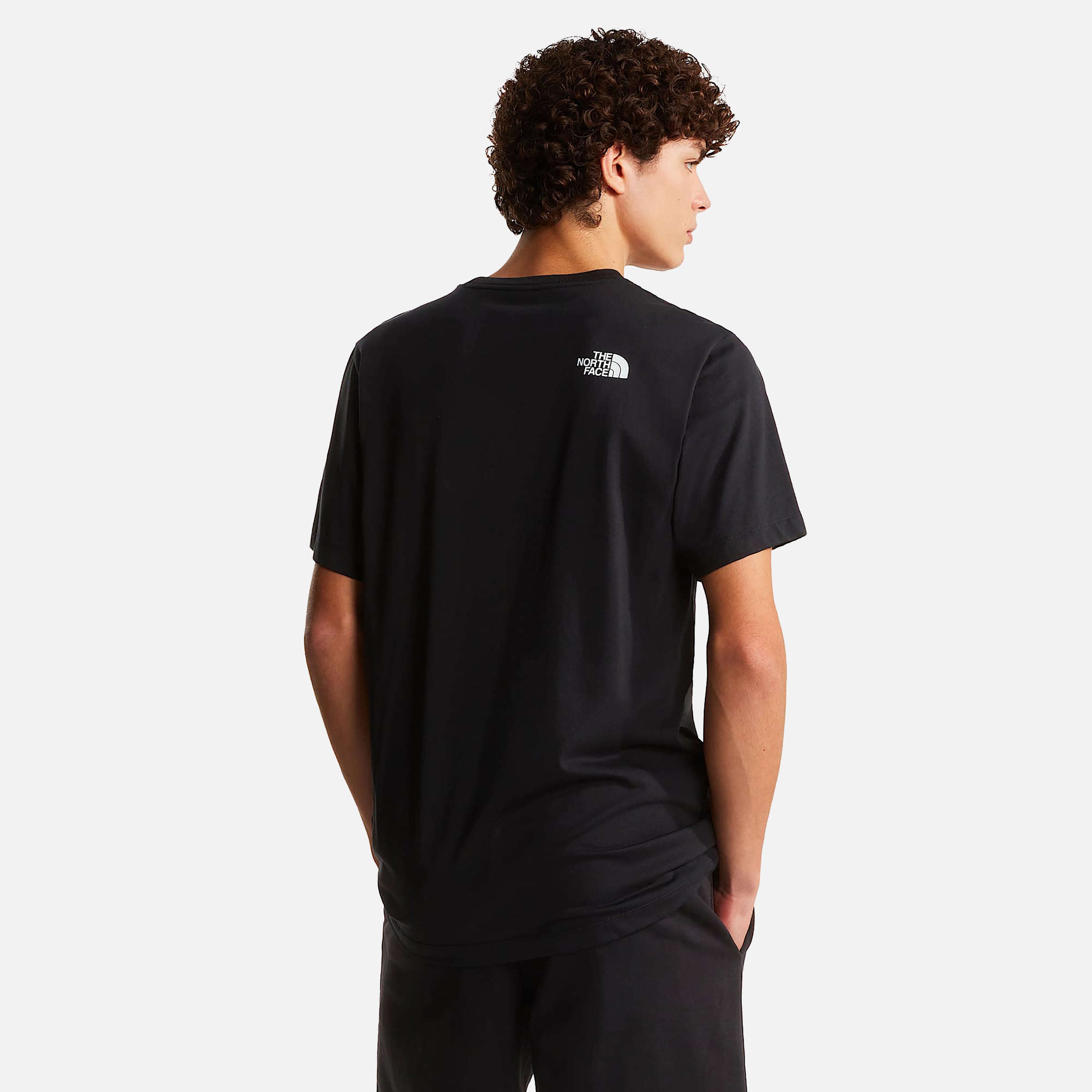 THE NORTH FACE T-SHIRT M EVOLUTION BOX HALF DOME REGULAR SHORT