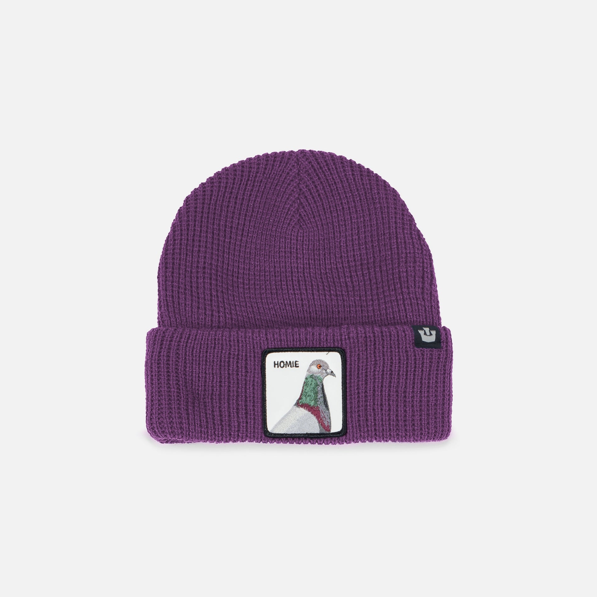 Viola