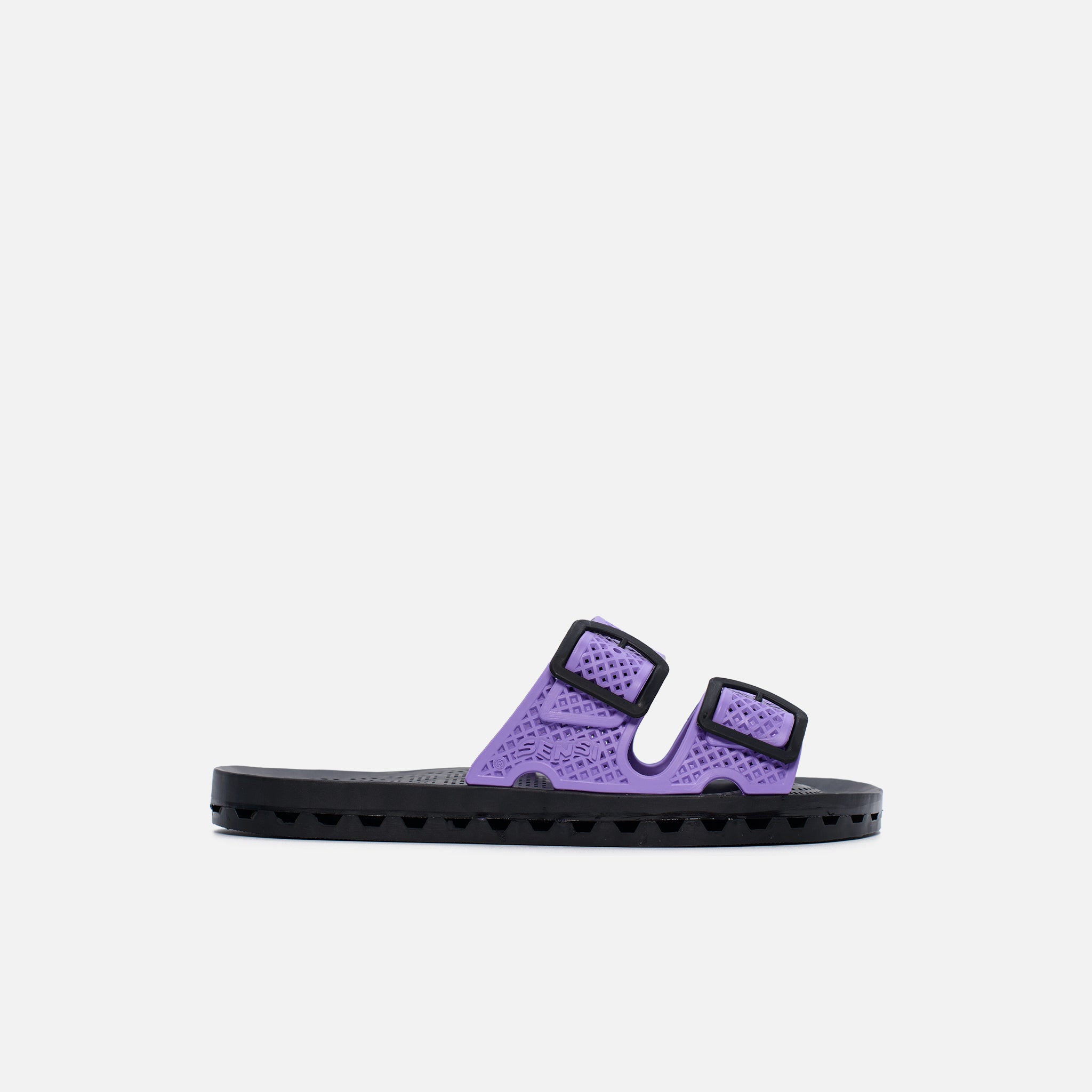 Viola