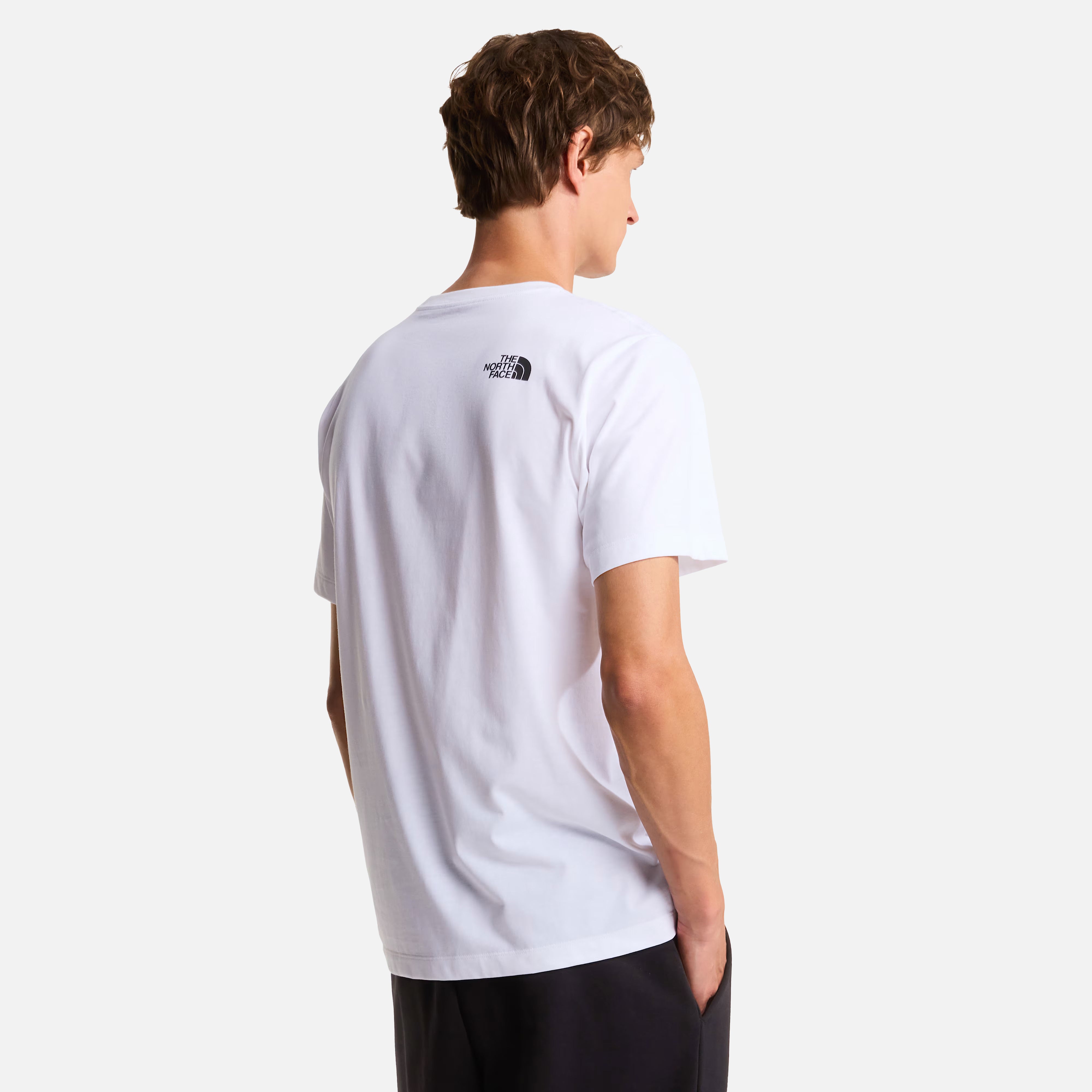 THE NORTH FACE T-SHIRT M EVOLUTION BOX HALF DOME REGULAR SHORT