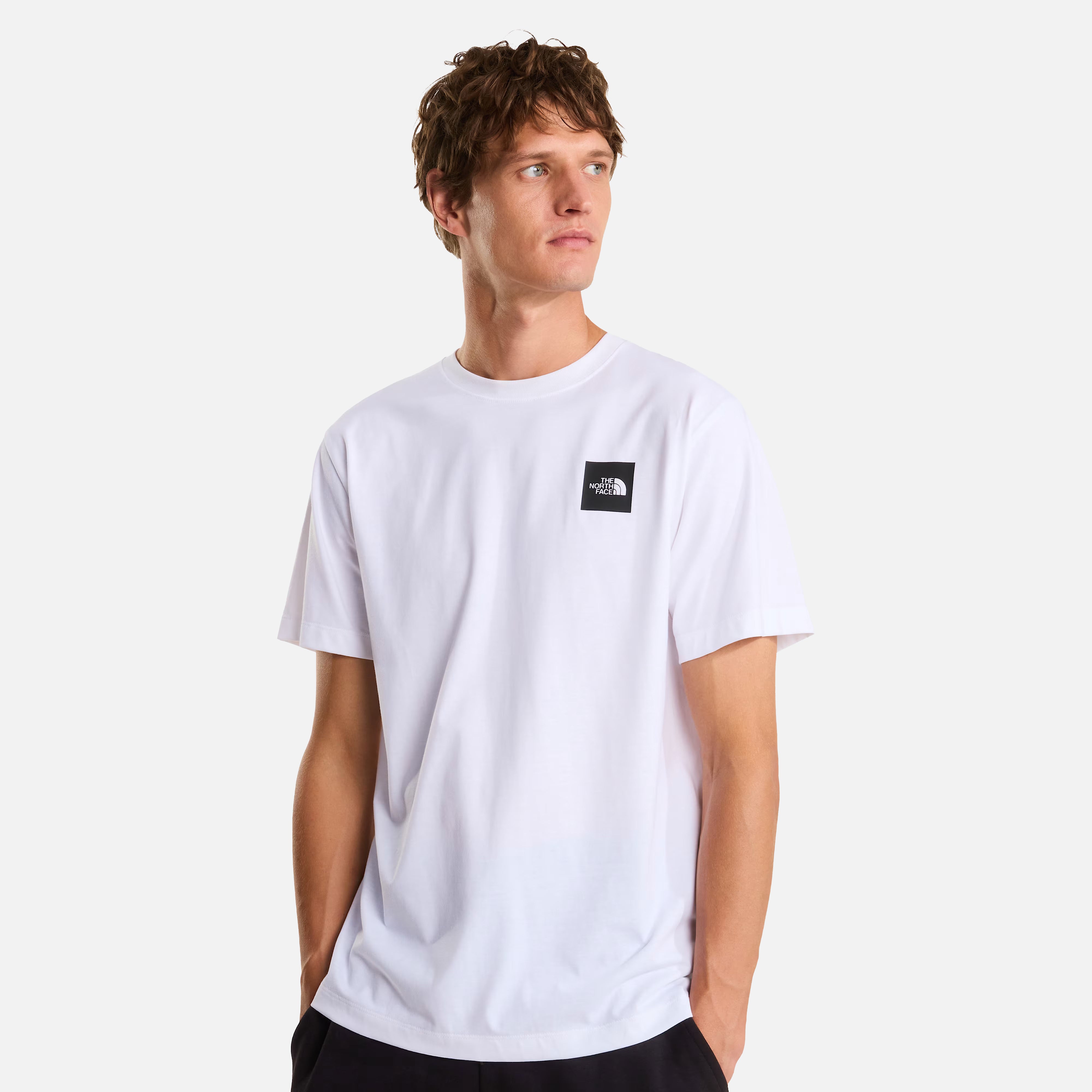 THE NORTH FACE T-SHIRT M EVOLUTION BOX HALF DOME REGULAR SHORT