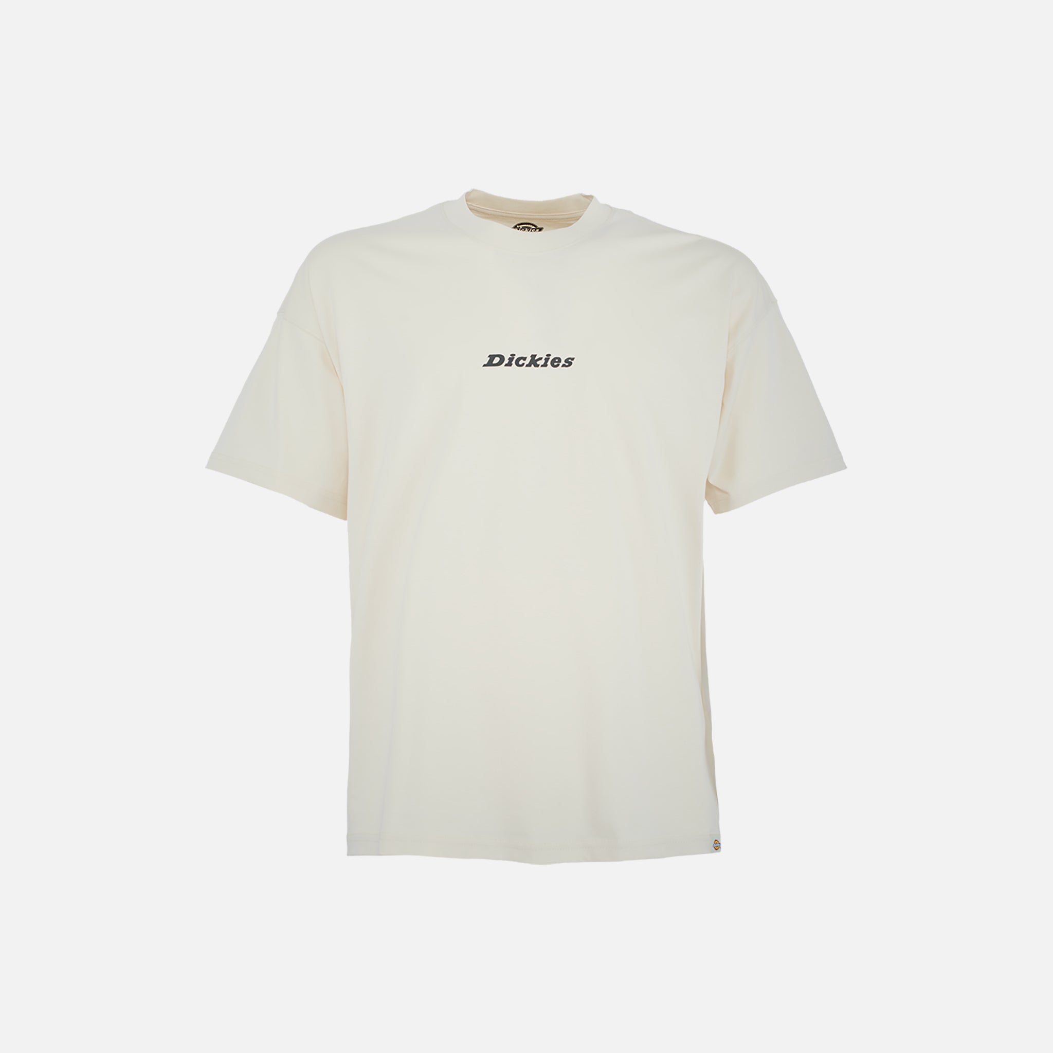 DICKIES T-SHIRT ENTERPRISE