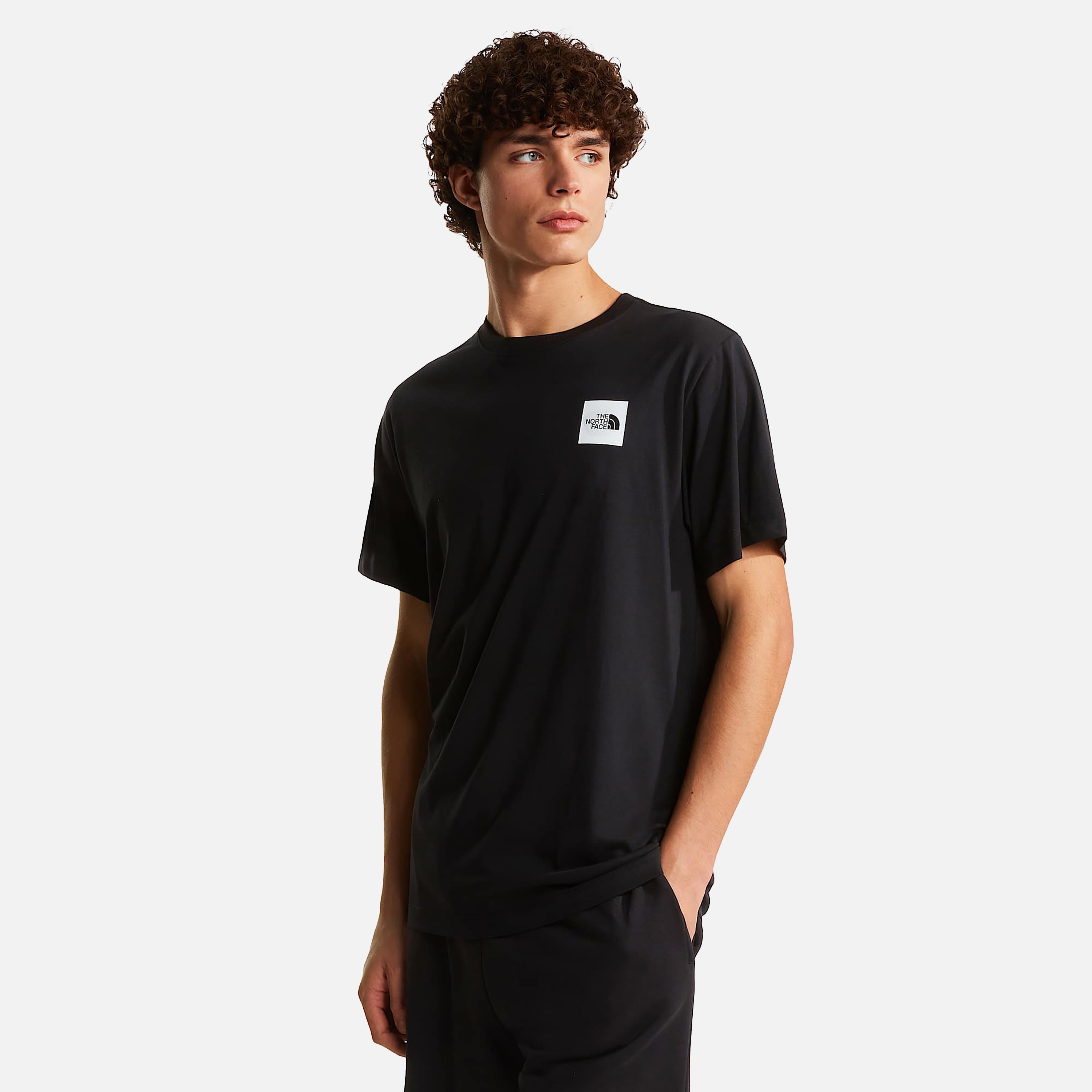 THE NORTH FACE T-SHIRT M EVOLUTION BOX HALF DOME REGULAR SHORT