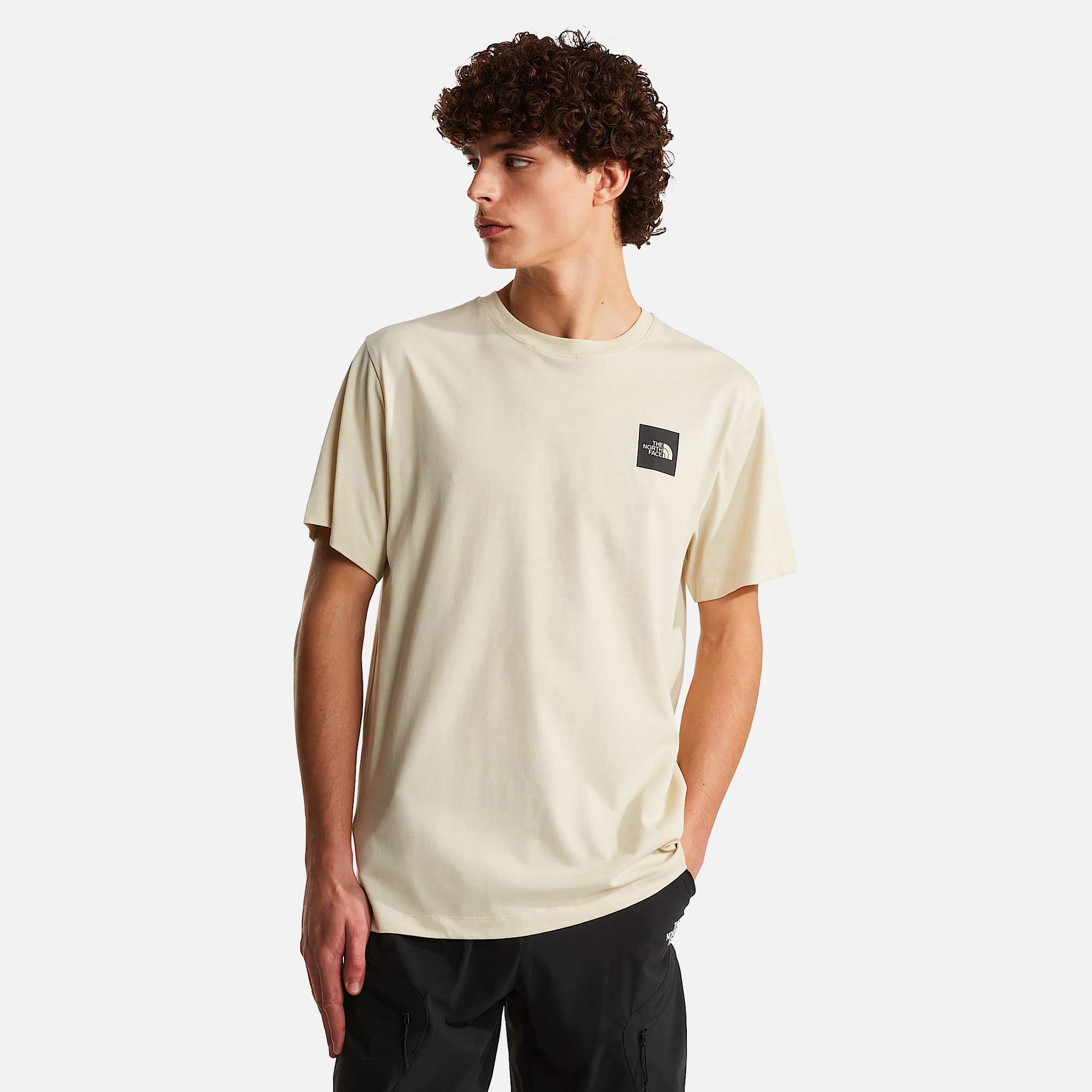 THE NORTH FACE T-SHIRT M EVOLUTION BOX HALF DOME REGULAR SHORT