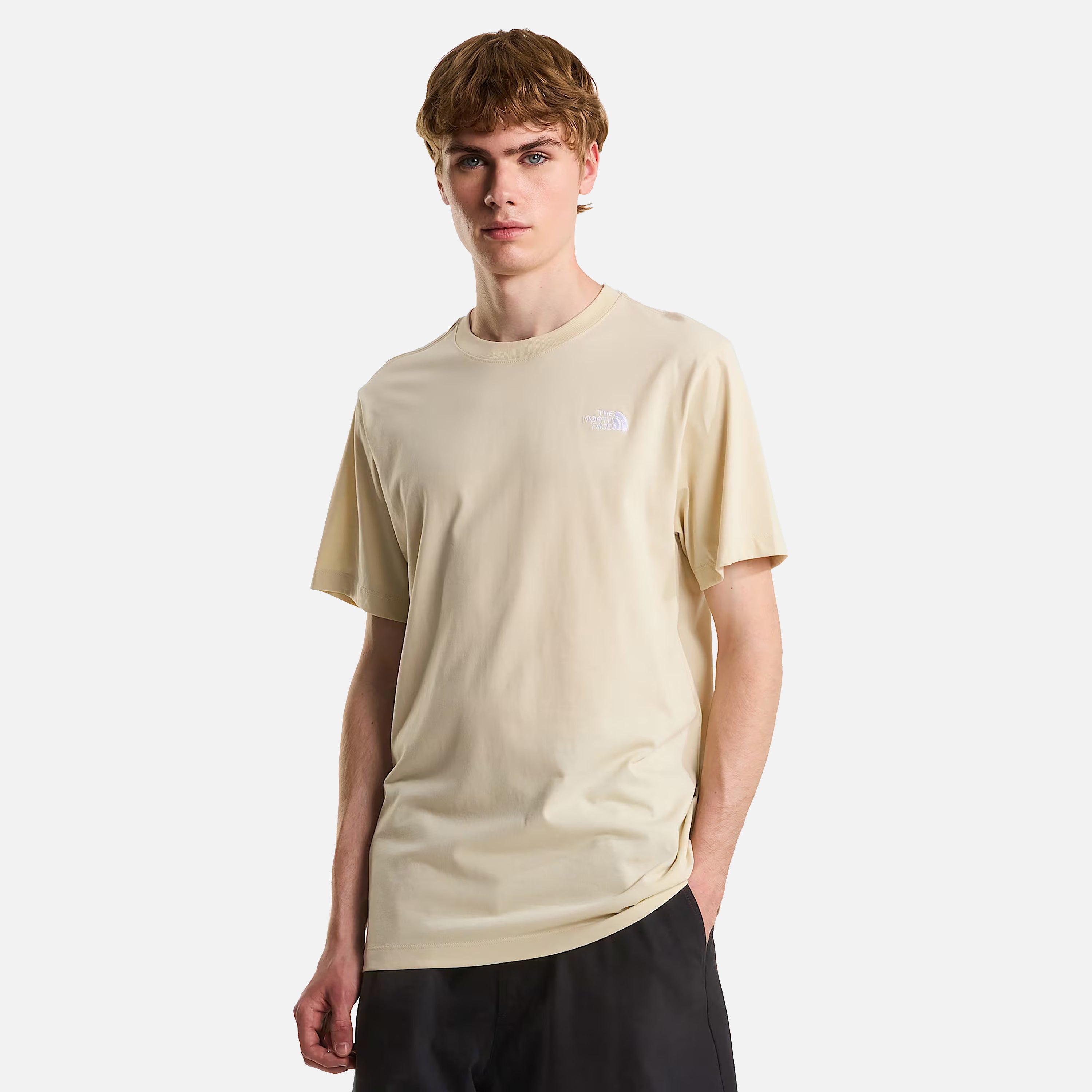 THE NORTH FACE T-SHIRT M EVOLUTION SIMPLE DOME REGULAR SHORT SL