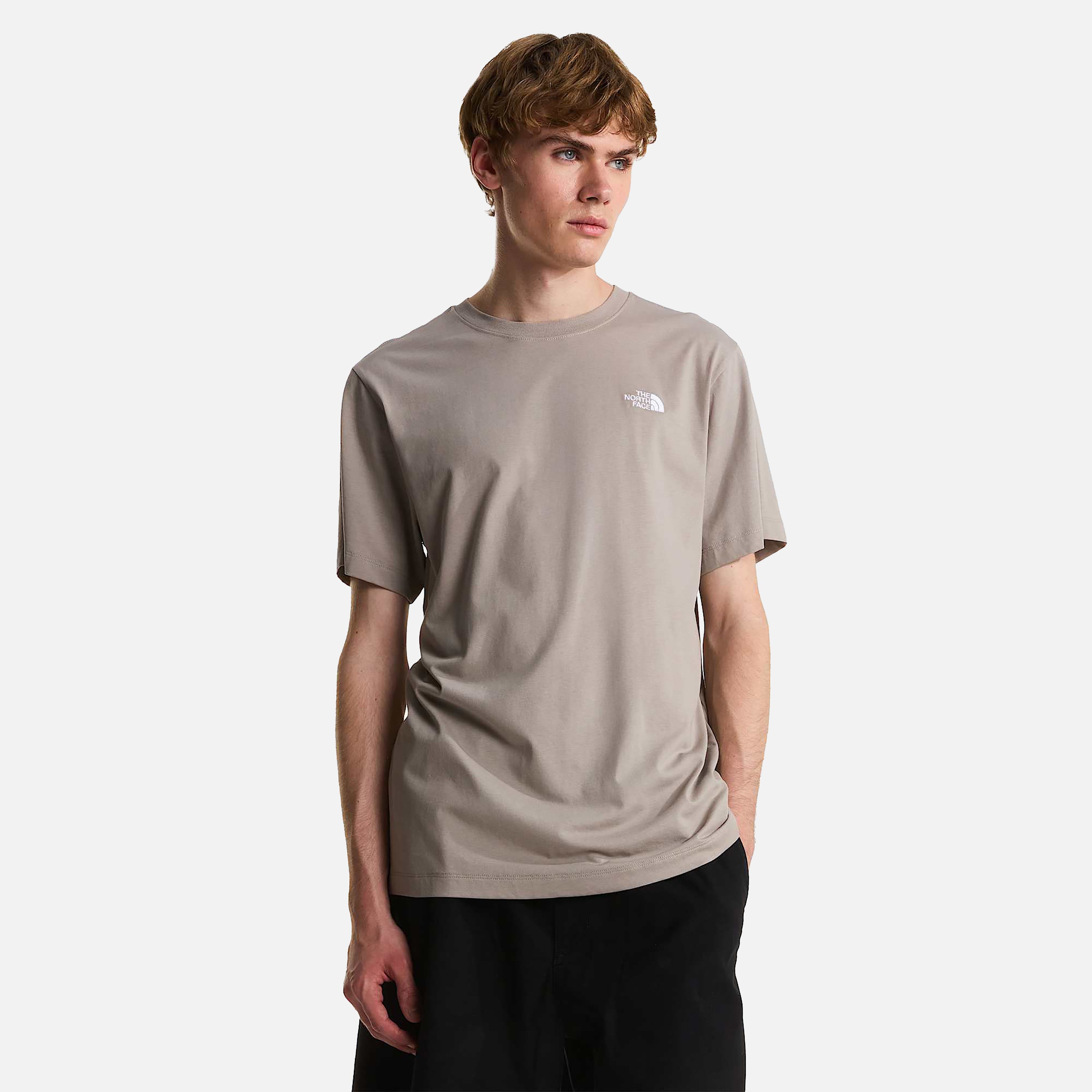 THE NORTH FACE T-SHIRT M EVOLUTION SIMPLE DOME REGULAR SHORT