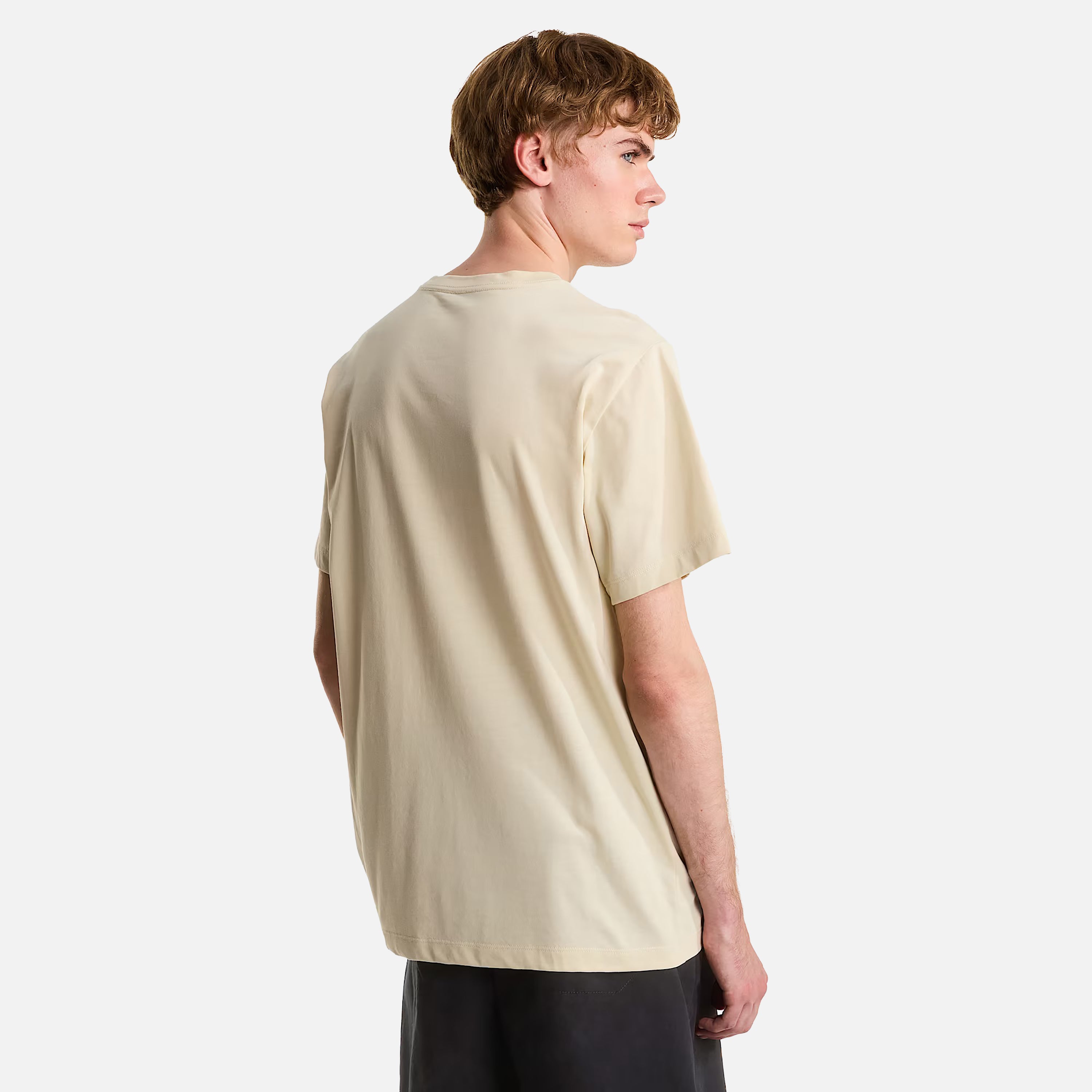 THE NORTH FACE T-SHIRT M EVOLUTION SIMPLE DOME REGULAR SHORT SL