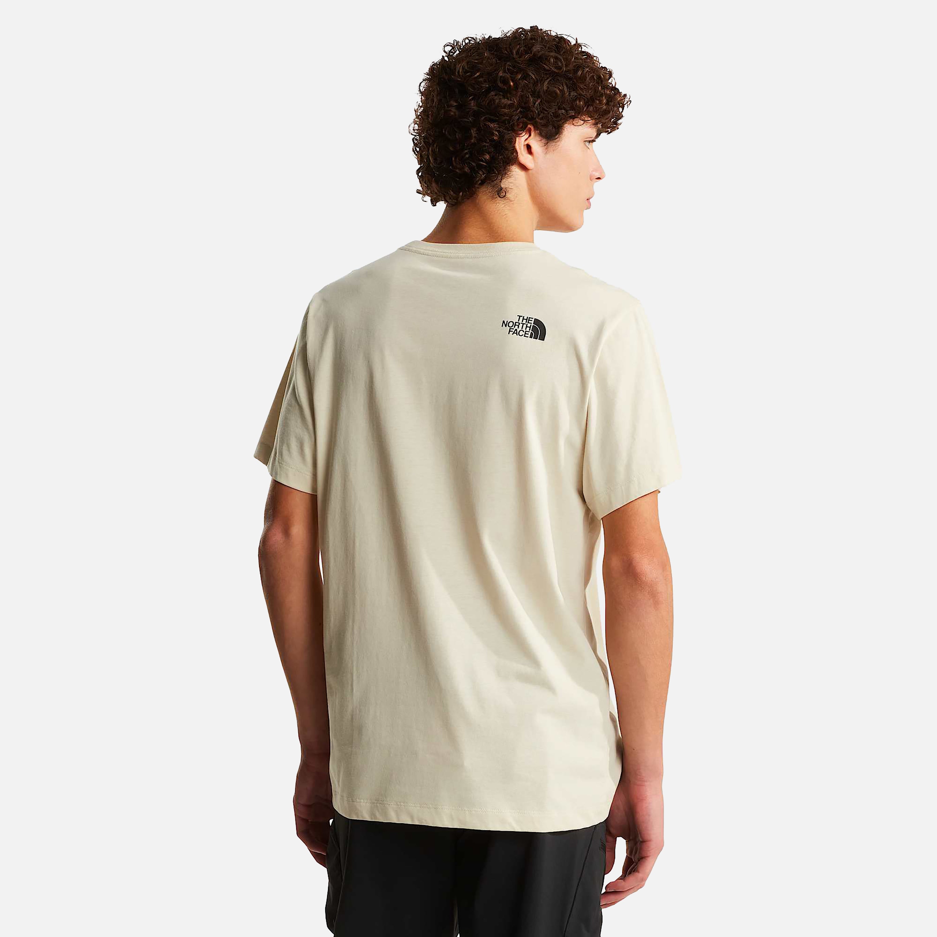 THE NORTH FACE T-SHIRT M EVOLUTION BOX HALF DOME REGULAR SHORT