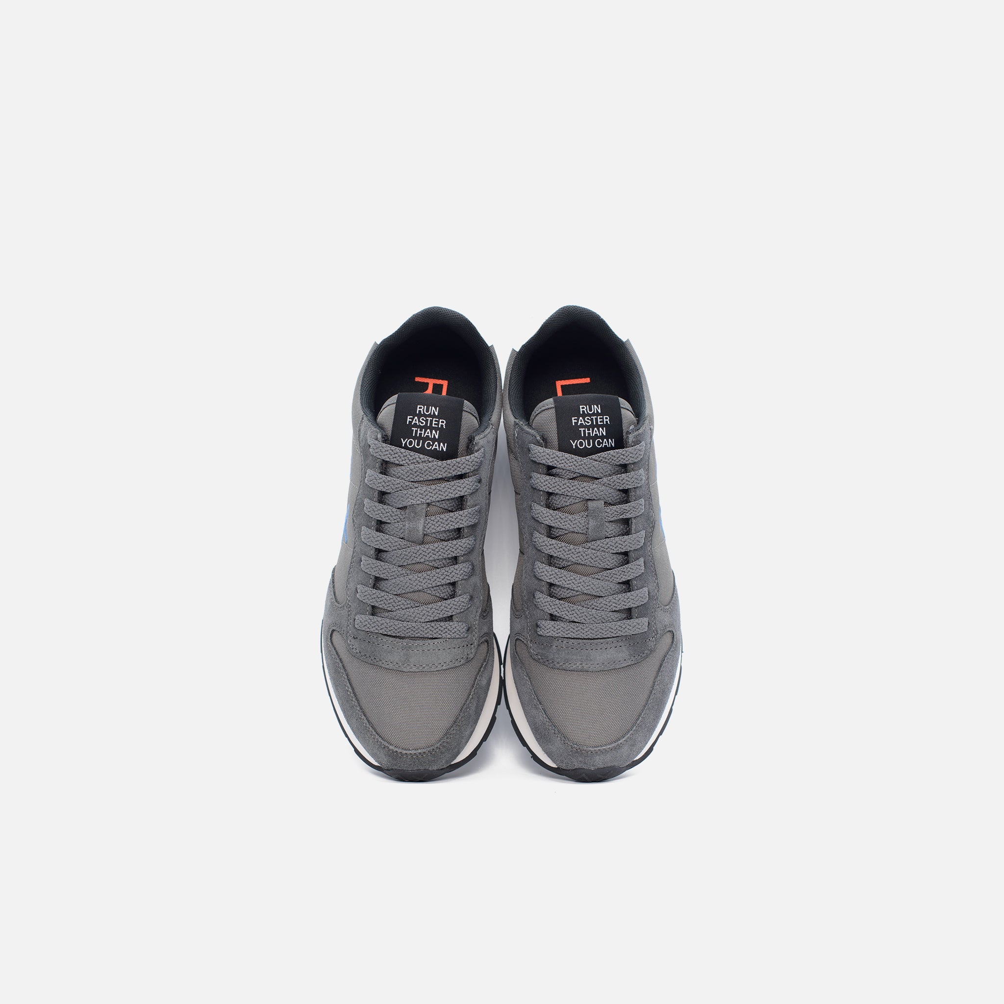Grigio