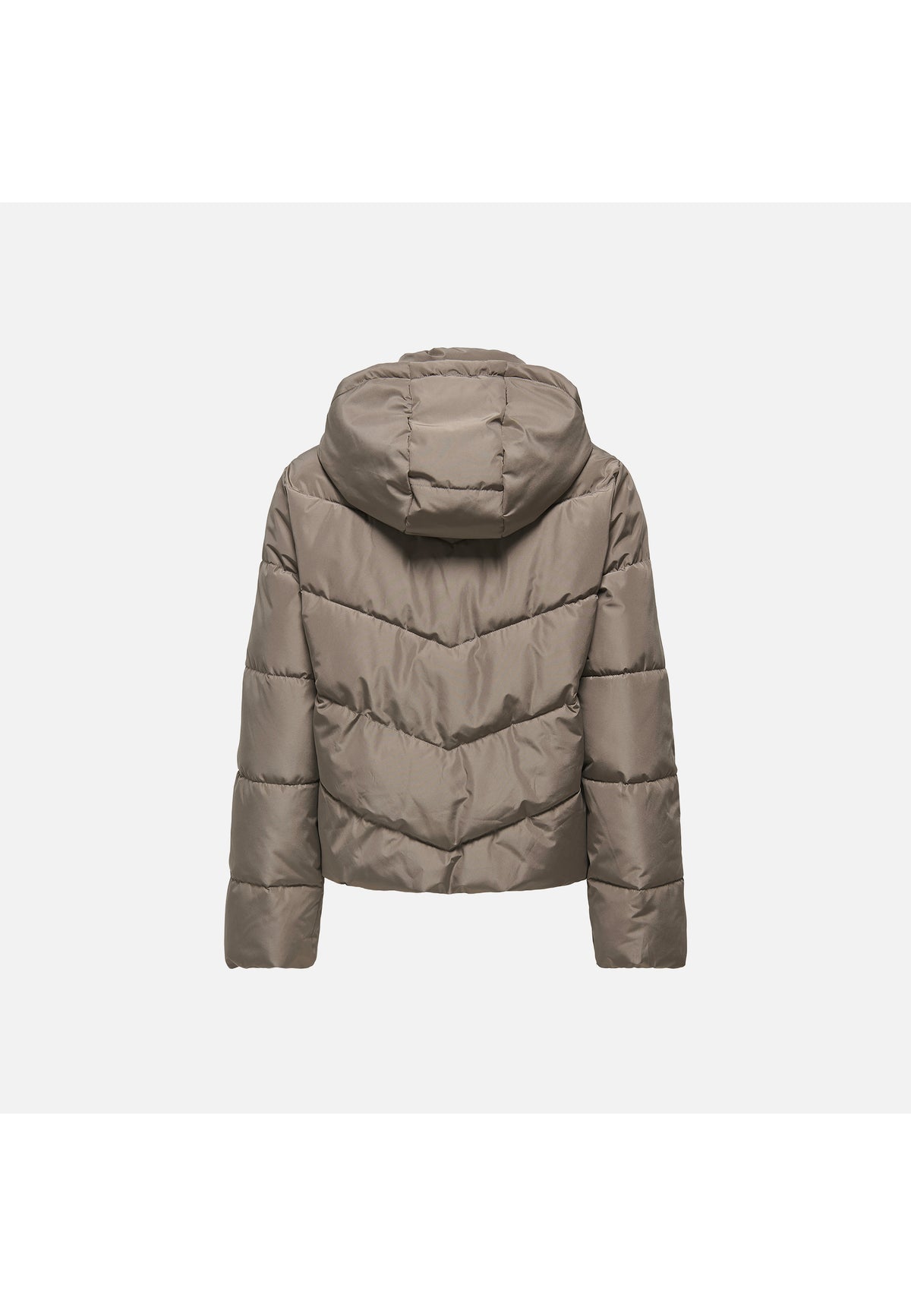 Grigio