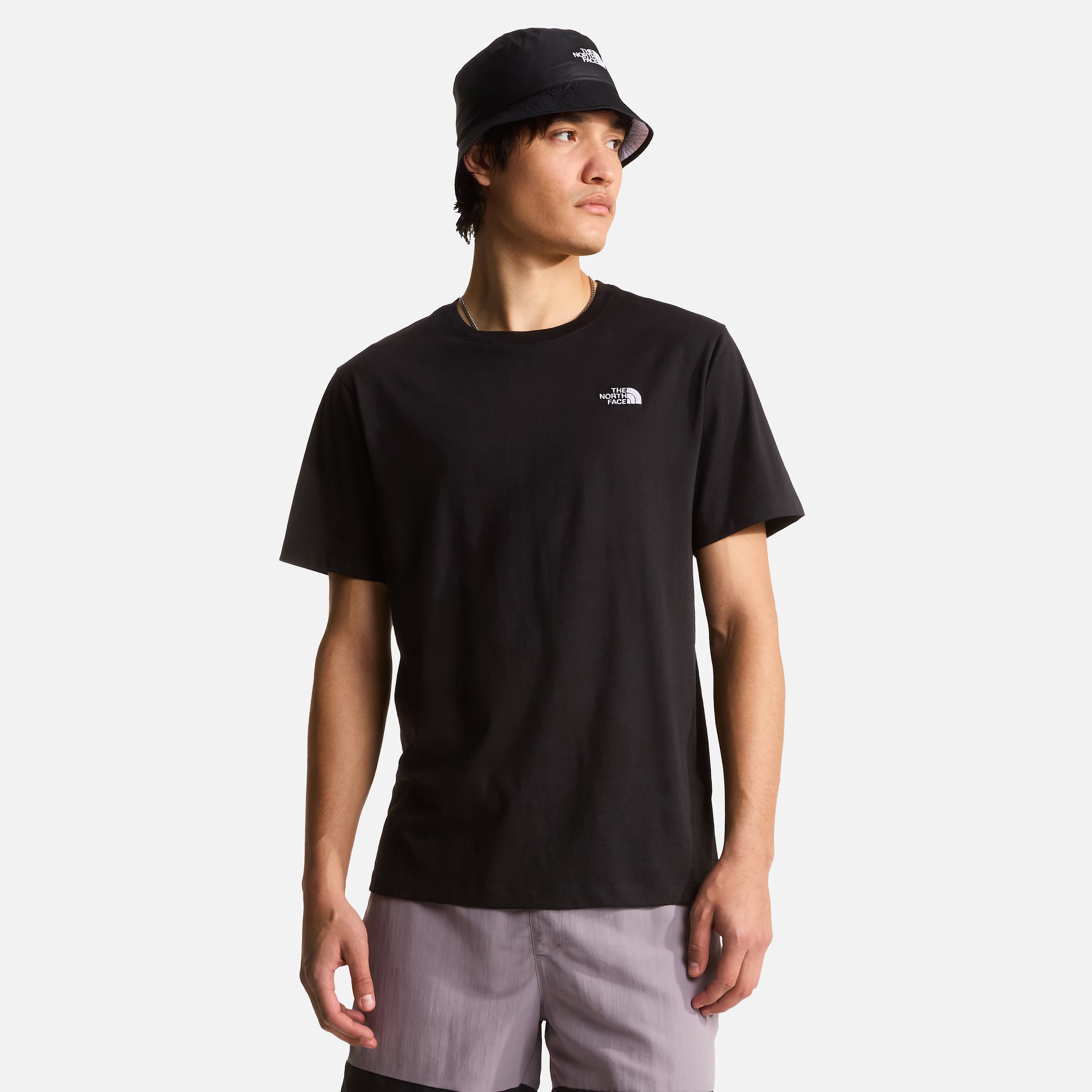 THE NORTH FACE T-SHIRT M EVOLUTION SIMPLE DOME REGULAR SHORT