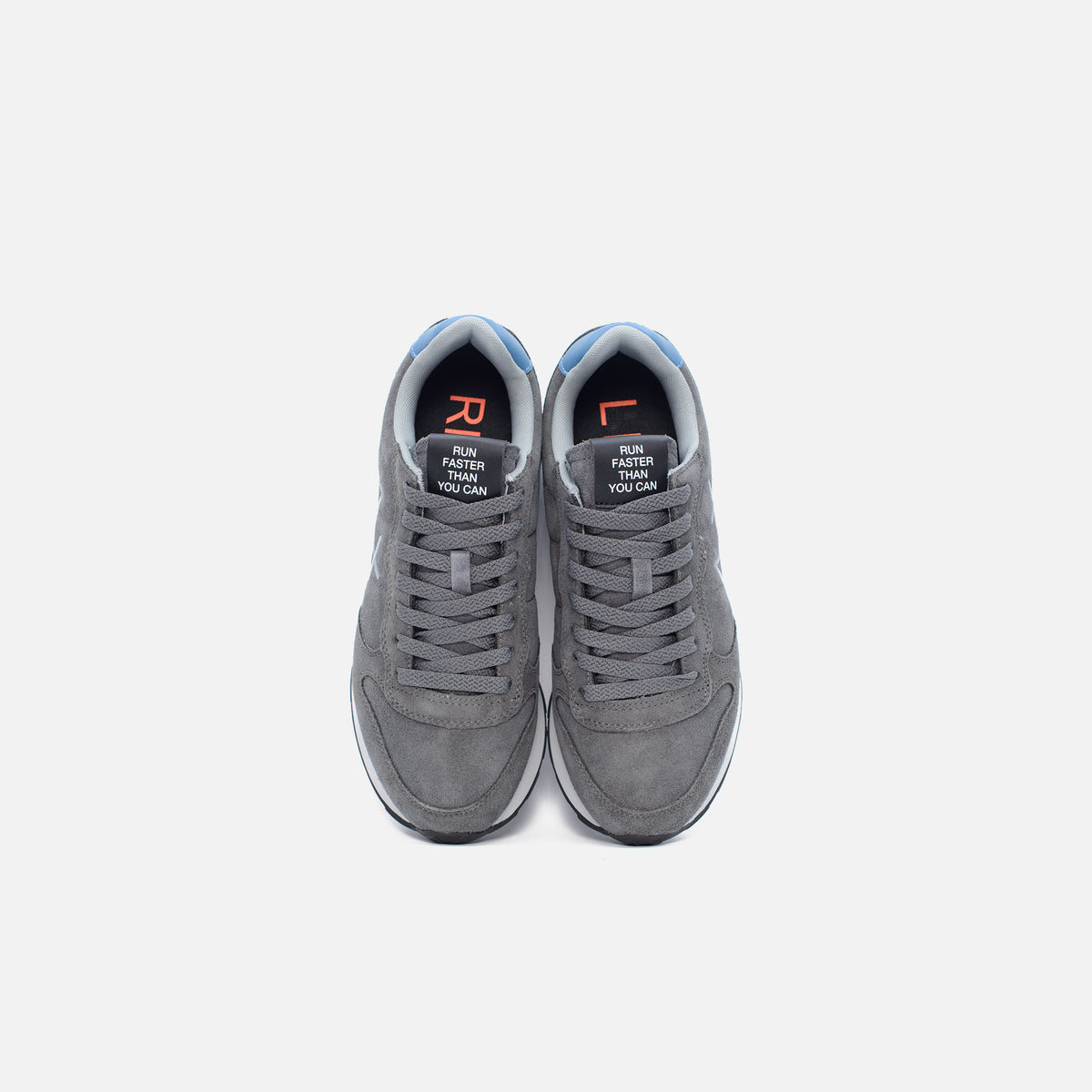 Grigio