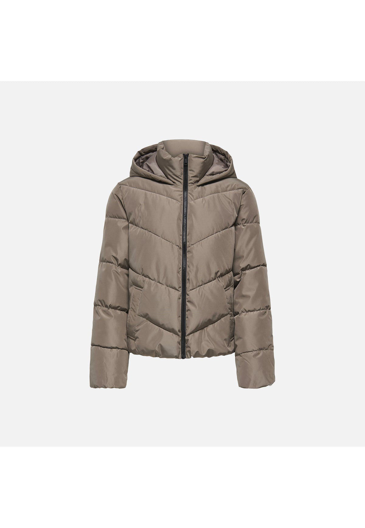 Grigio