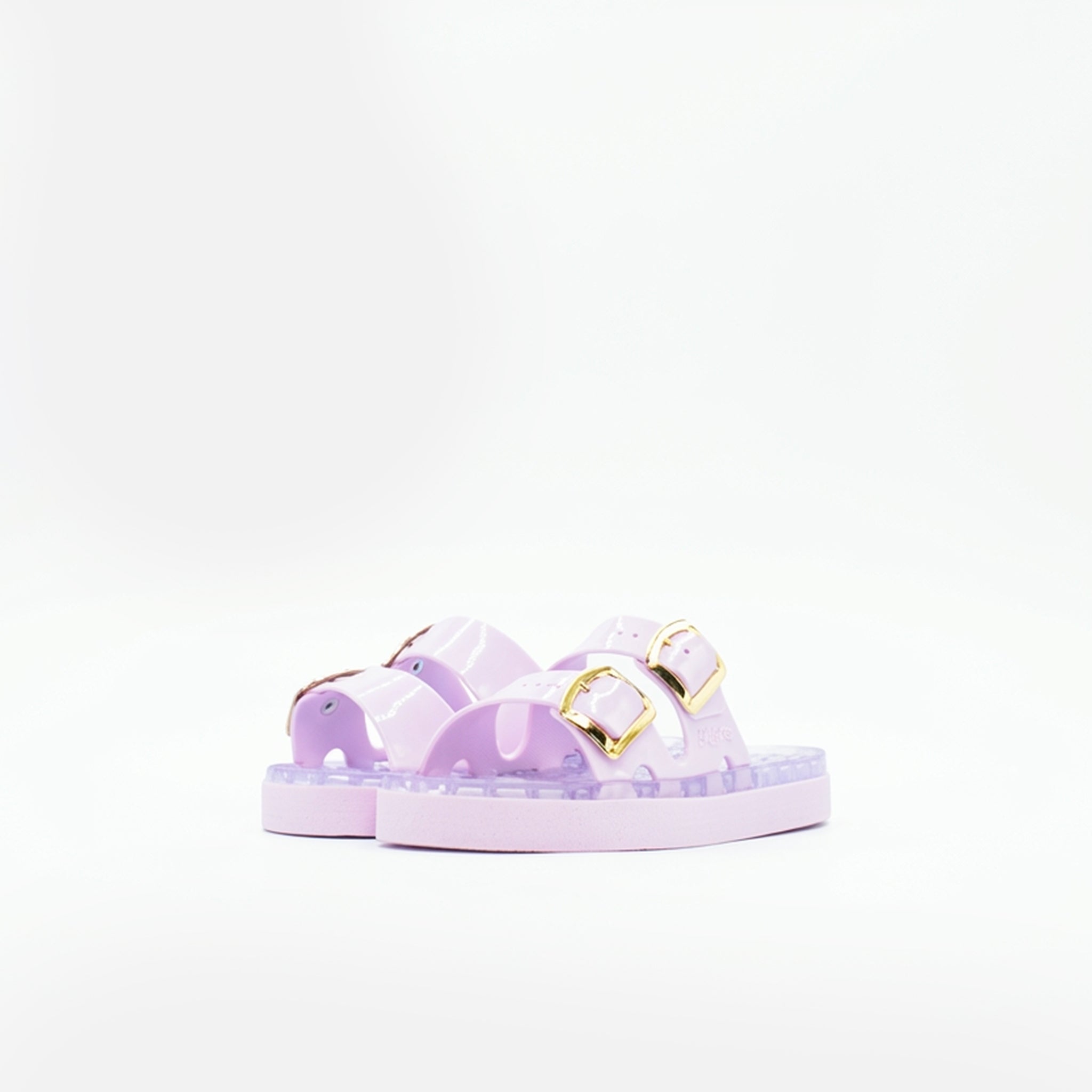 Viola